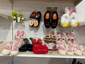 LOT OF Slippers (Variety Sizes)