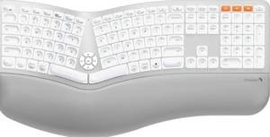 lot 122 image: Proto Arc Backlit Bluetooth Ergonomic Keyboard $99.99 Retail - Brand New