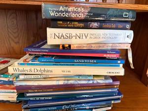 Mixed Book Lot Childrens Religious Nature Hardcovers Paperbacks