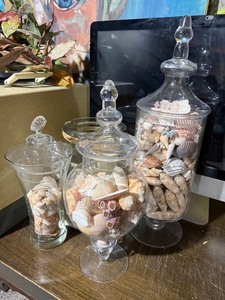 Set of 3 Glass Apothecary Jars w Seashells Coastal Decor Lidded