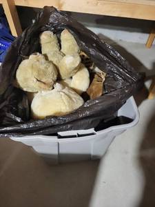 Assorted Plush Toys - Teddy Bears & Leopard Print Stuffed Animals