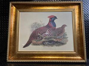 lot 118 image: Pheasant Print in Ornate Gold Frame - Framed Wildlife Artwork