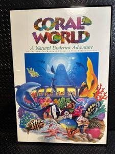 lot 122 image: Coral World Framed Poster - A Natural Undersea Adventure