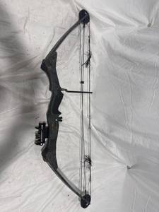 lot 2752 image: Browning Compound Bow
