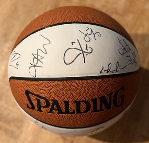lot 101 image: Dallas Mavericks Signed Basketball w Dirk Nowitzki, Antawn Jamison, Michael Finley, Antoine Walker, Don Nelson and More