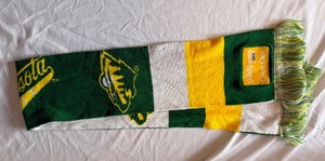 lot 149 image: Minnesota Wild Hockey Scarf