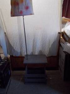 Modern Floor Lamp with Integrated Wood Table Base