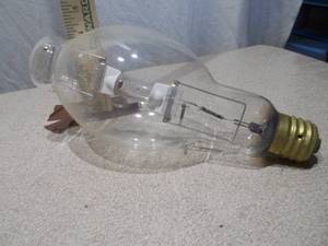 Large Vintage Industrial Mogul Base Light Bulb - Decorative  Display Piece