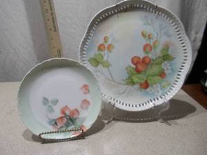Vintage Bavaria Porcelain Plates - 2 Pieces