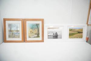 Metallic Art Prints-Geese & Ducks, Framed Photo Prints