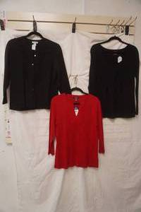 (3ct) NewLike New Womens Blouses. Size L, L, L