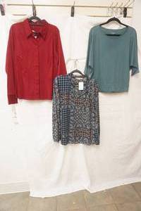 (3ct) NewLike New Womens Blouses. Size L, L, S