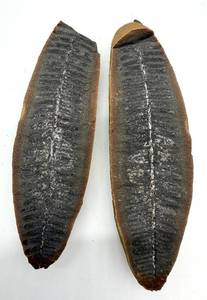 lot 101 image: Fossil Halves - From The Same Stone (Lot of 2)