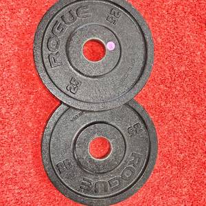 Rogue Black Steel 25lb. Plate Set