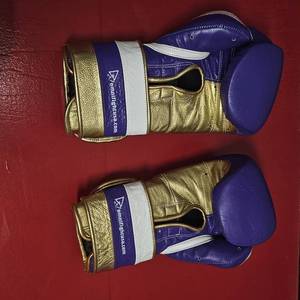 Omni Boxing Gloves