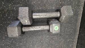 8lb. Dumbell Set