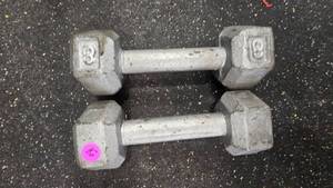 8lb. Dumbell Set