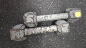 5lb. Dumbell Set