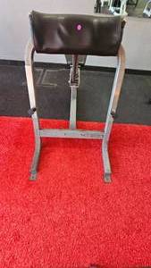 Nautilus Preacher Curl Bench