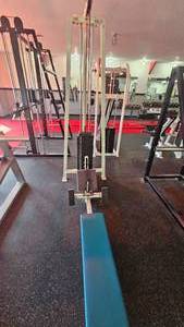 Infinity Fitness Low Pulley