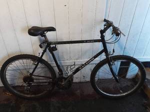 Raleigh USA msu mountain bike