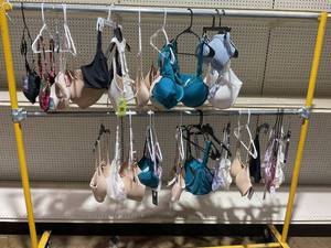 lot 205 image: LOT OF Womens Bras (Variety Sizes)