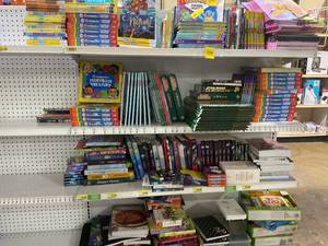LOT OF Adult & Childrens Books