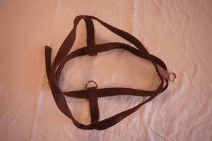 Animal Harness (large size)