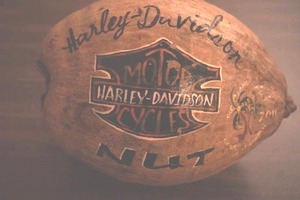 Hand-Painted Harley Davidson Souvenir Coconut from Hawaii 2011