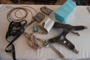 Puppy Pads and Other Pet Accessories