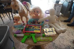 Girls Toy Lot Elsa, Big Horse and more