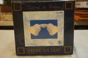 Ceiling Fan Light