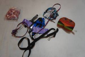 Pet Collars, Harnesses, Squish Toy