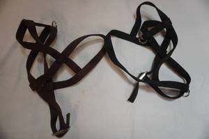 Large Pet Harnesses (2ct)