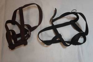 Large Pet harnesses (2ct)