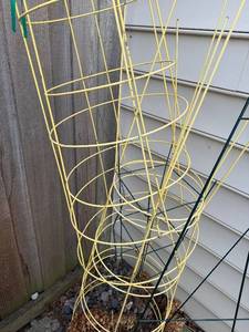 Yellow Spiral Plant Cages (Lot of 3)