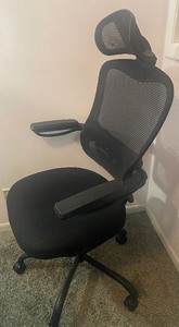Landomia Chair - Ergonomic Mesh Office Chair & Headrest