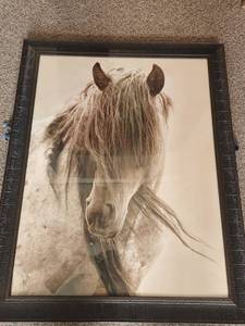 FREEDOM Lisa Dearing Print with frame