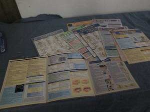 lot 146 image: Pack of laminated nursing quick stu...