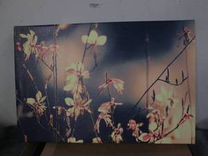 lot 182 image: Stretched canvas art on wood frame...