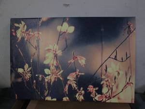 lot 183 image: Stretched canvas art on wood frame...