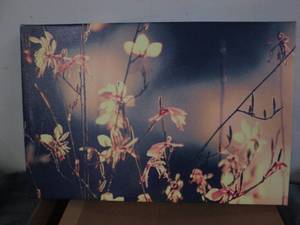 lot 184 image: Stretched canvas art on wood frame...