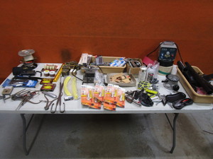 lot 224 image: Misc Lot (see pics)