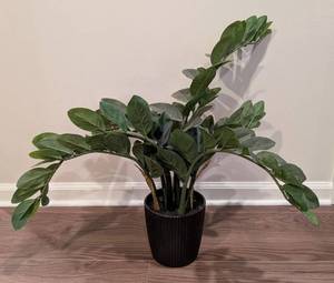LL - ZZ Plant - Faux Indoor Plant in Black Ribbed Pot, 22 in Tall