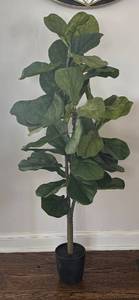 LR - Fine Faux Plant