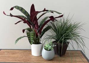 BR1 - Artificial Plant Trio - Faux Greenery