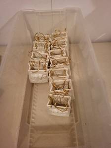 White Ceramic Cherub Angel Hanging Ornaments - 12-Piece Set, Made in China