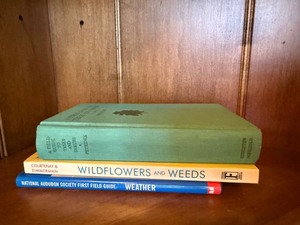 Lot of 3 Nature Field Guide Books Peterson Wildflowers Weather