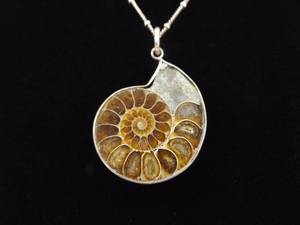 .925 Sterling Silver Ammonite Fossil Pendant Necklace