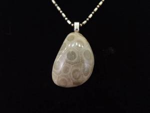 .925 Sterling Silver Petoskey Stone Pendant Necklace